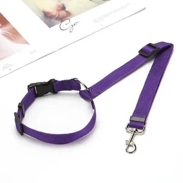 Pet Car Seat Belt &amp; Harness Safety And Style