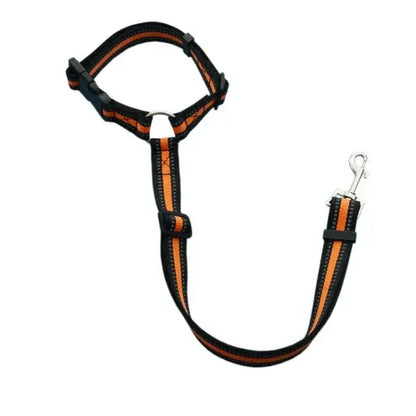 Pet Car Seat Belt &amp; Harness Safety And Style