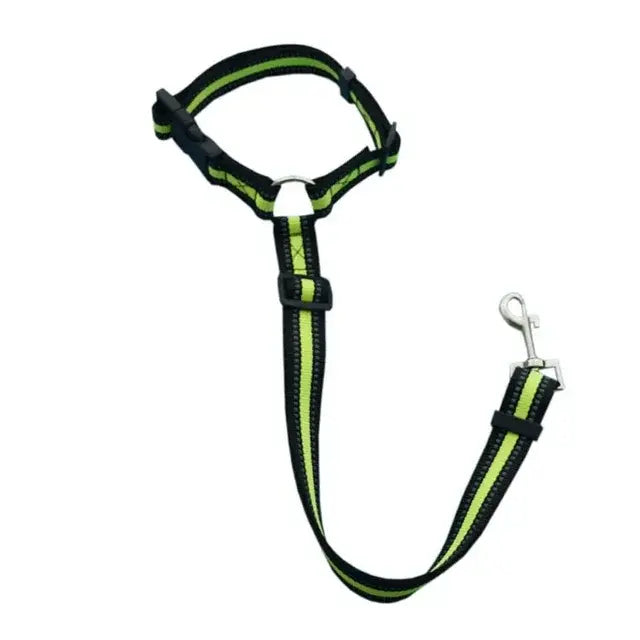 Pet Car Seat Belt &amp; Harness Safety And Style