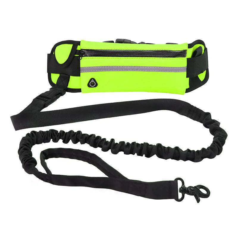 Pet Purse Leash