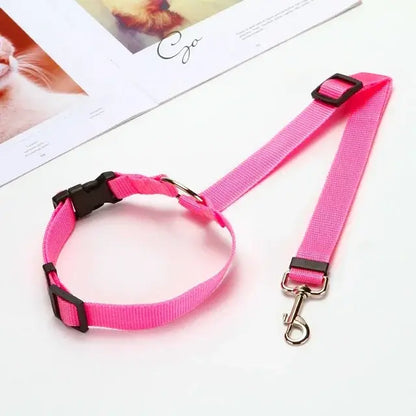 Pet Car Seat Belt &amp; Harness Safety And Style