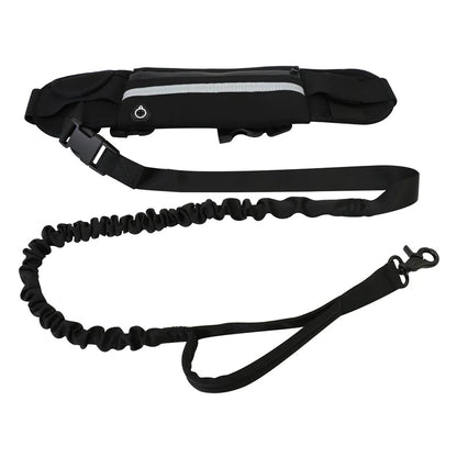 Pet Purse Leash