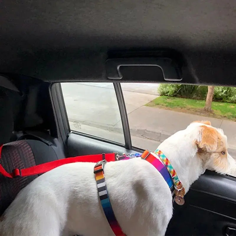 Pet Car Seat Belt &amp; Harness Safety And Style