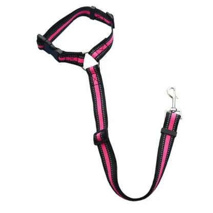 Pet Car Seat Belt &amp; Harness Safety And Style