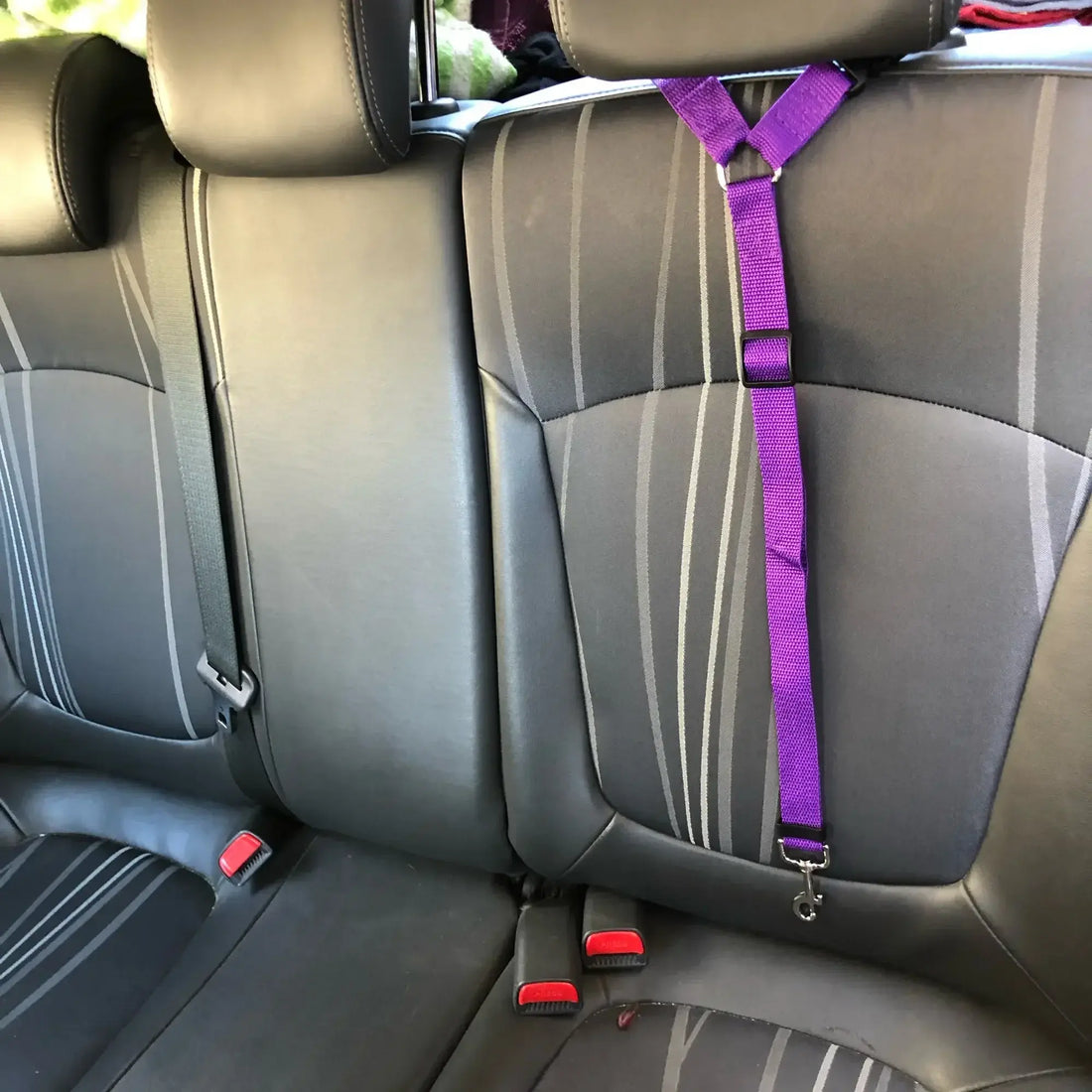 Pet Car Seat Belt &amp; Harness Safety And Style