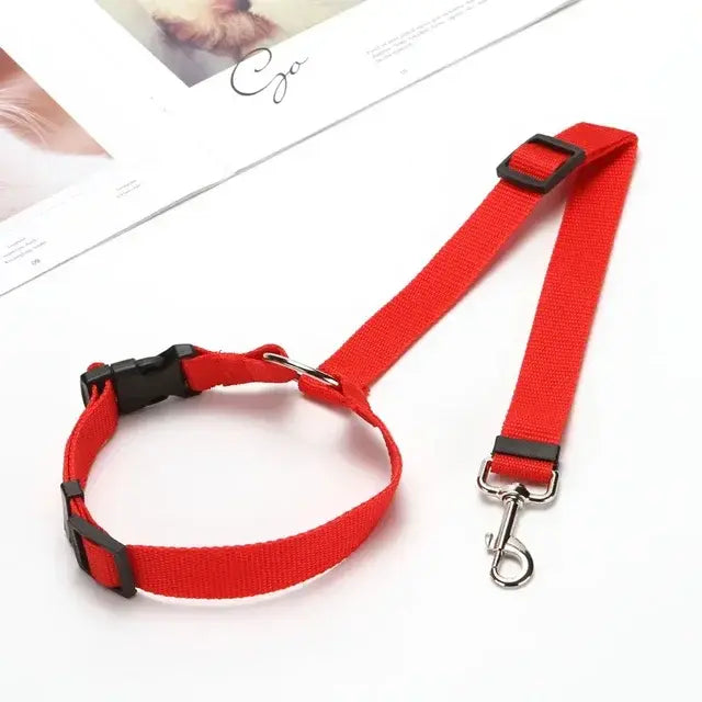 Pet Car Seat Belt &amp; Harness Safety And Style