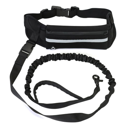 Pet Purse Leash