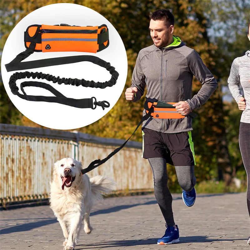 Pet Purse Leash